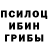 Псилоцибиновые грибы Magic Shrooms Rita