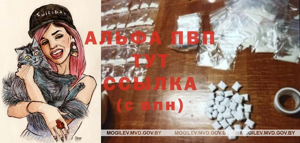 амф Пересвет