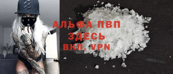 ГАЛЛЮЦИНОГЕННЫЕ ГРИБЫ Пестово
