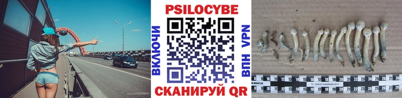 закладки  Петров Вал  Псилоцибиновые грибы Psilocybine cubensis 